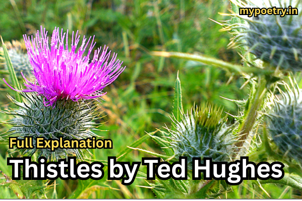 Thistles by Ted Hughes